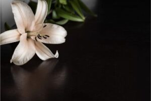 What to Do Immediately After a Drowning Accident in Ohio